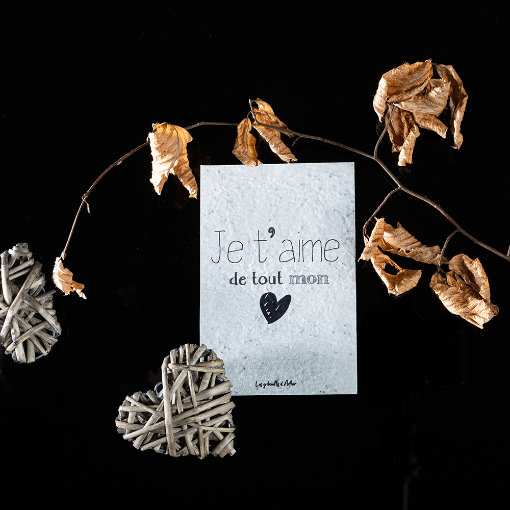 Carte à planter amour "Je t