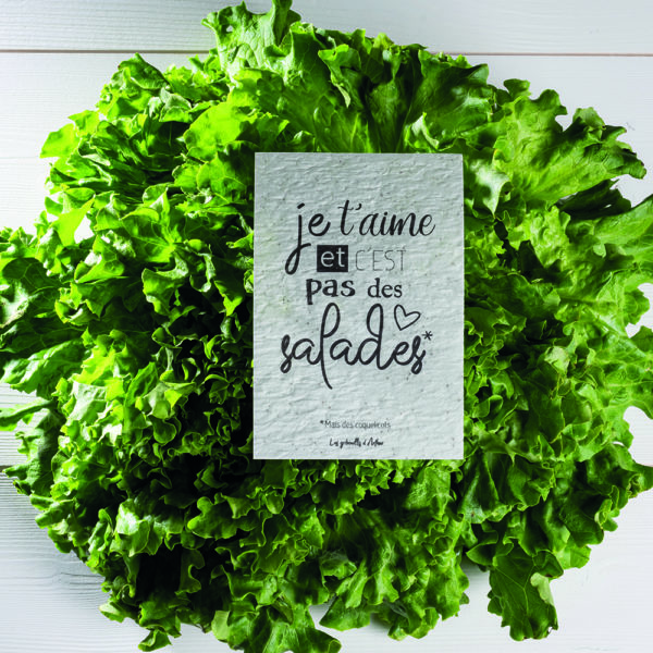 carte a planter amour je t aime et c'est pas des salades